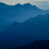 investment-views-header
