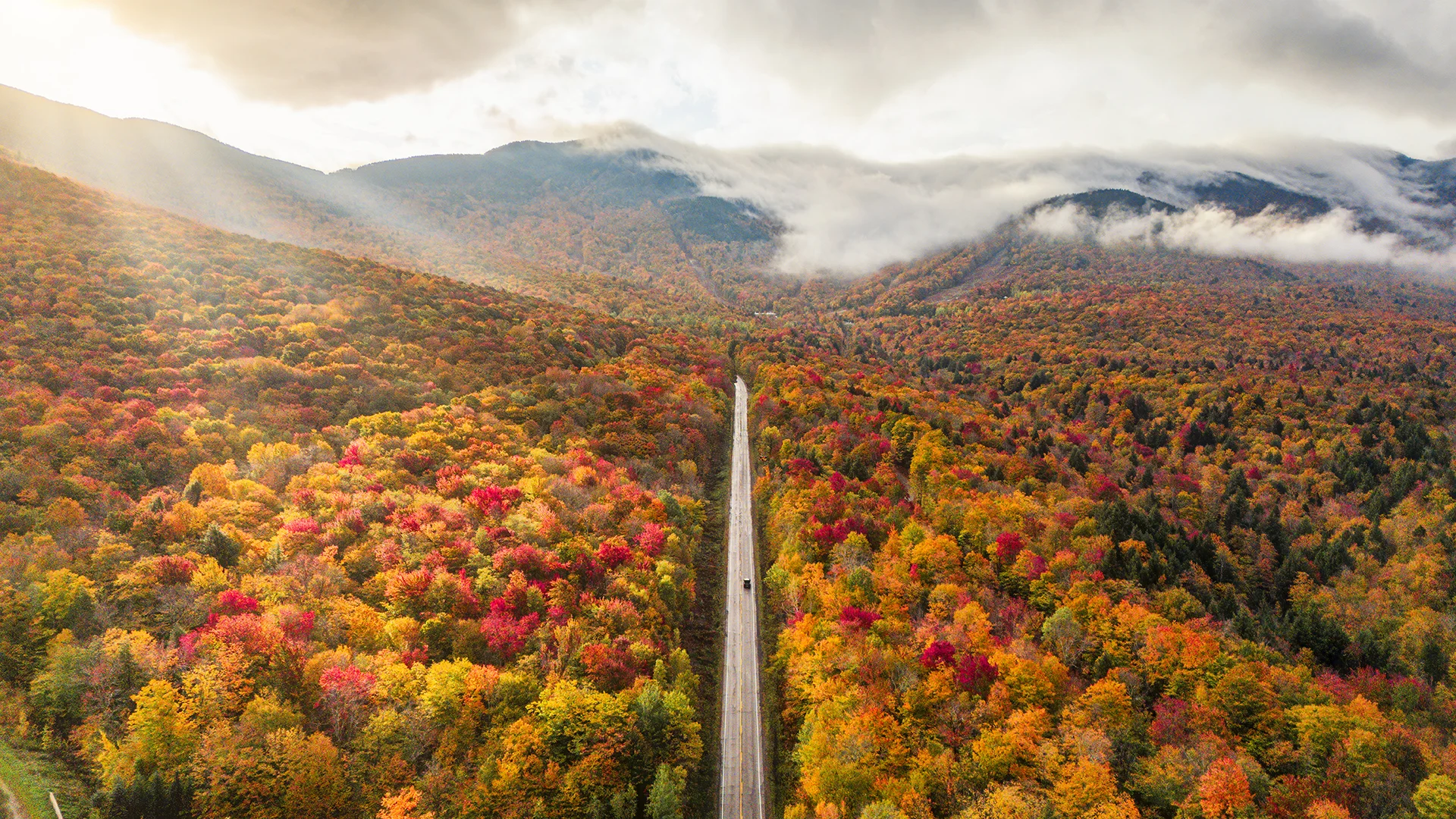 Market Pulse: Strategic Shifts: Fall Market Outlook