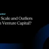 Why do Scale and Outliers Matter in Venture Capital